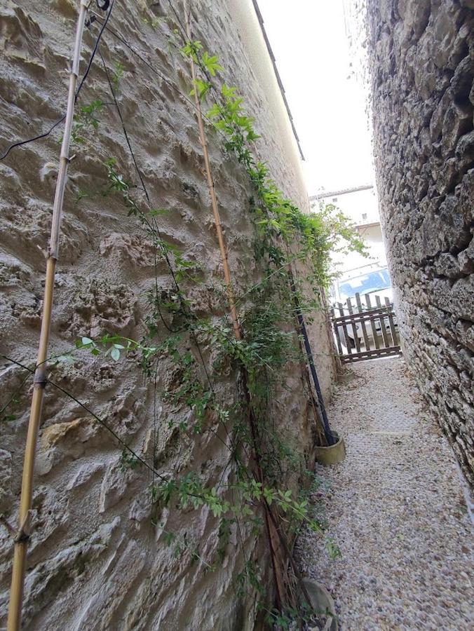 Il Fait Bon Vivre Classe 3 Etoiles Montcuq Exteriör bild
